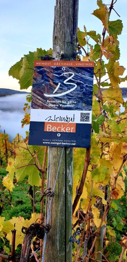 Weingut U. Gaestehaus Becker Platten Экстерьер фото